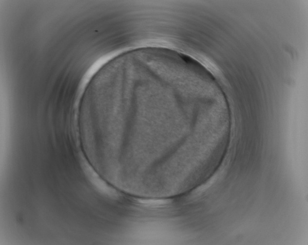 X0000113311200200910131101