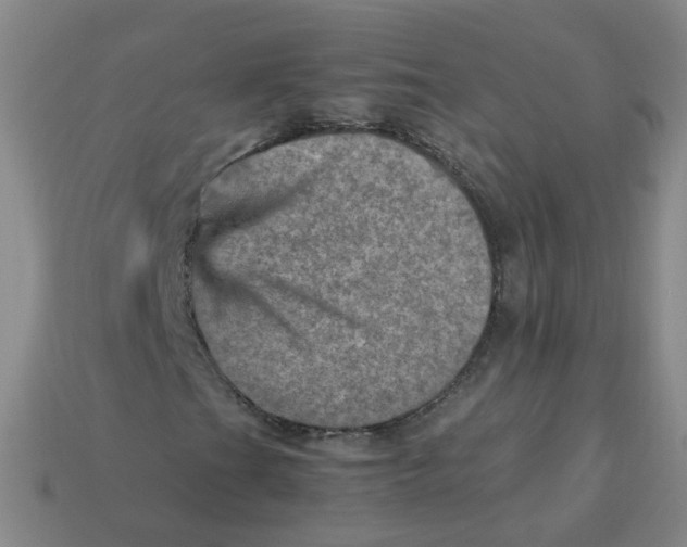 X0000113311201200910131100