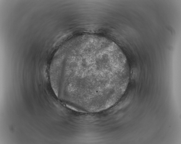 X0000113311202200910131100