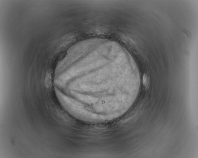 X0000113311203200910131100