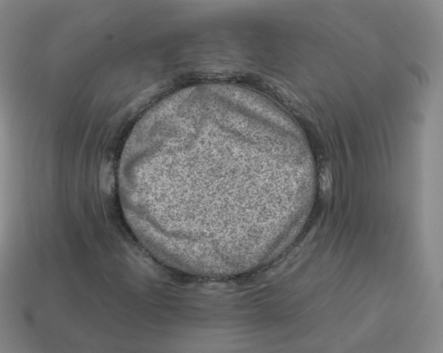 X0000113311204200910131100