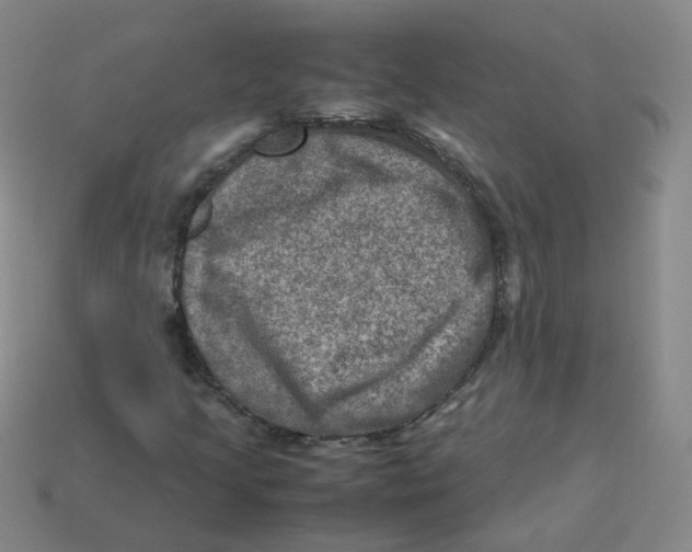 X0000113311205200910131100