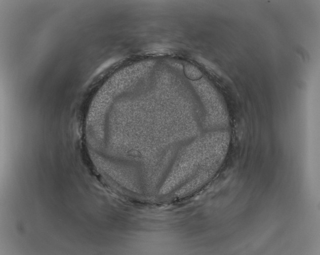 X0000113311206200910131100