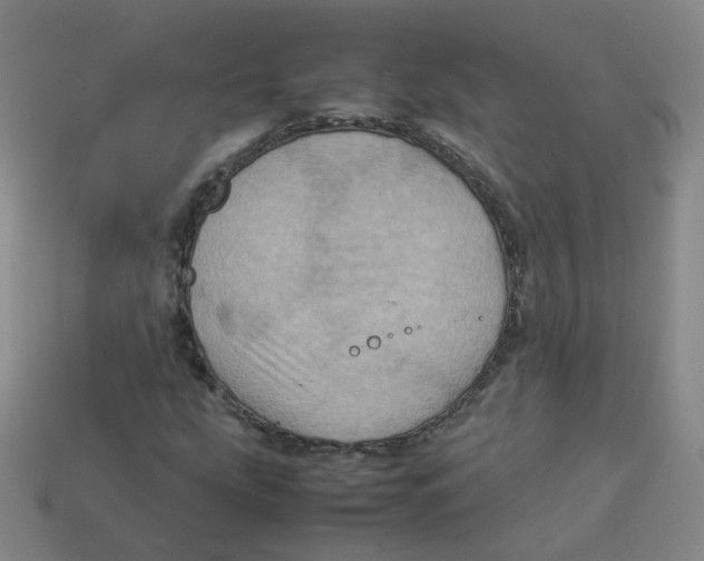 X0000113311207200910131100