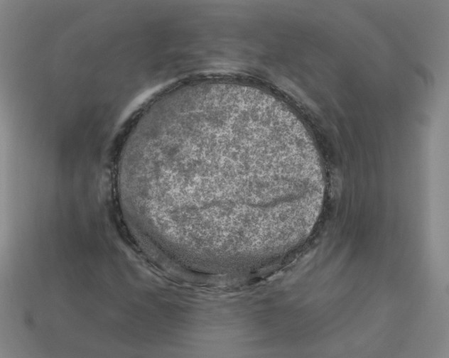 X0000113311208200910131100