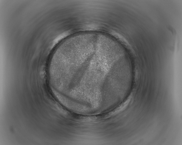 X0000113311210200910131100