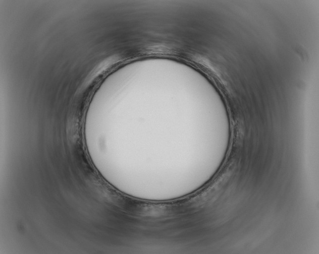 X0000113311211200910131100