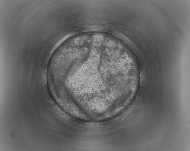 X0000113311212200910131100