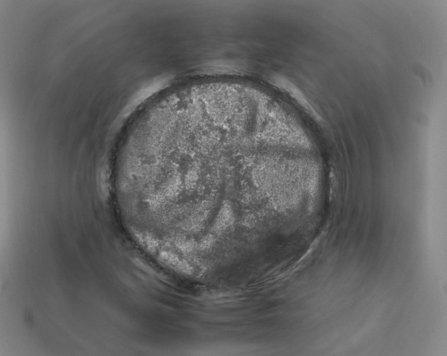 X0000113311213200910131100