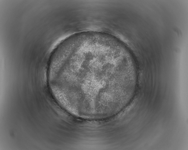 X0000113311214200910131100