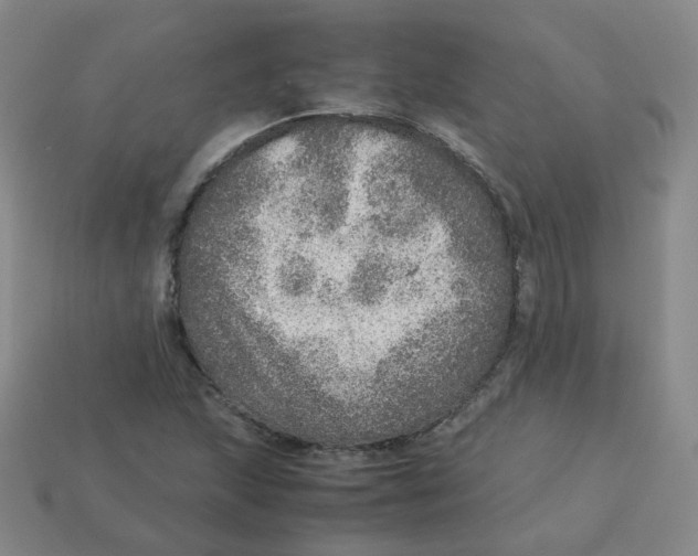 X0000113311215200910131100