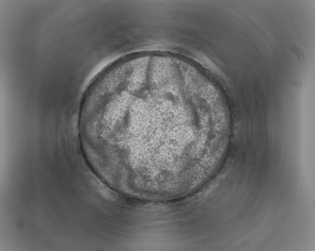 X0000113311216200910131101