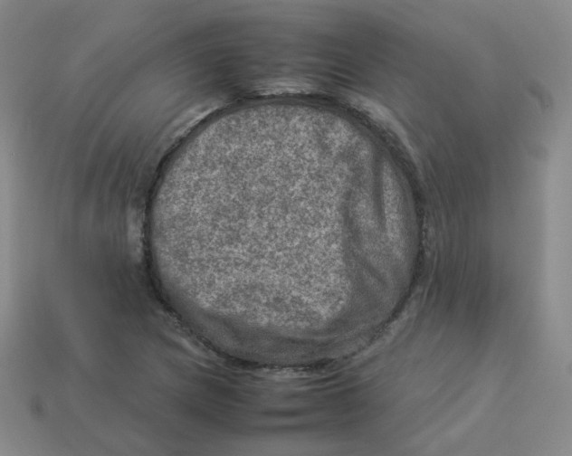 X0000113311217200910131101