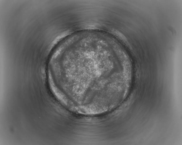 X0000113311218200910131101