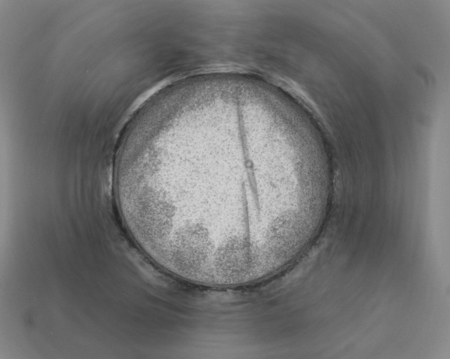 X0000113311220200910131101