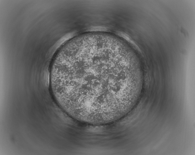 X0000113311221200910131101