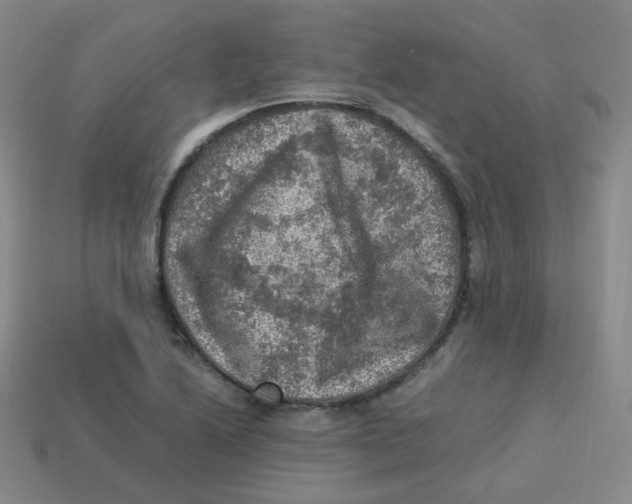 X0000113311222200910131101