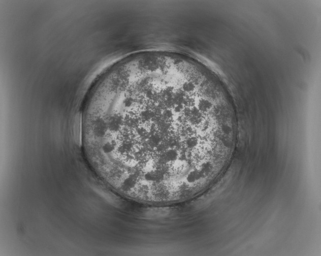 X0000113311223200910131101