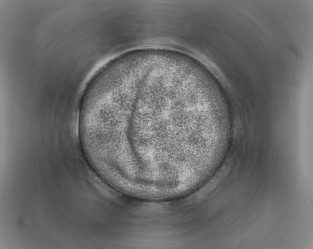 X0000113311224200910131101