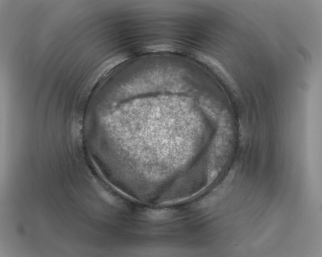 X0000113311225200910131101