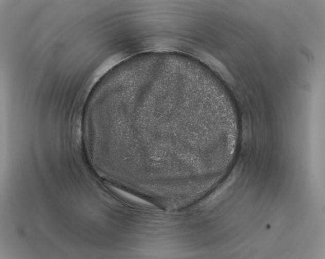 X0000113311226200910131101