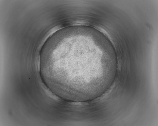 X0000113311227200910131101