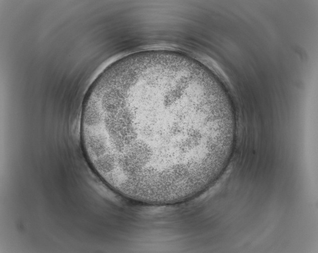 X0000113311228200910131101