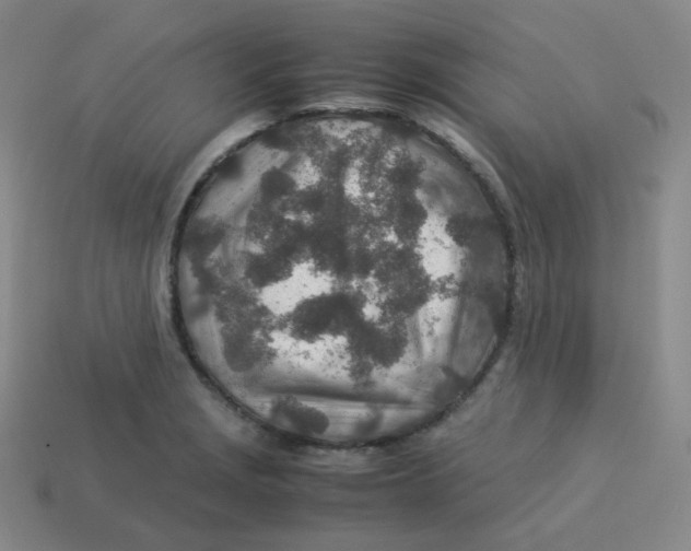 X0000113311229200910131101