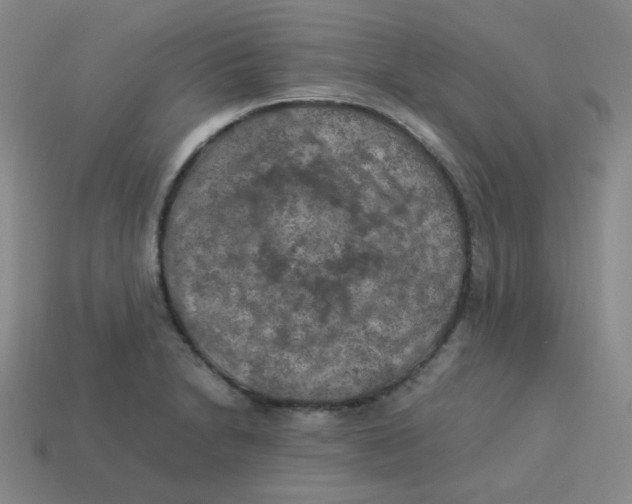 X0000113311230200910131101