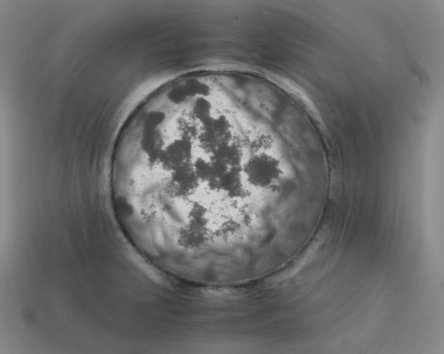 X0000113311231200910131101