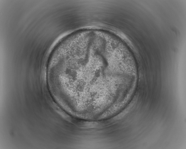 X0000113311232200910131101