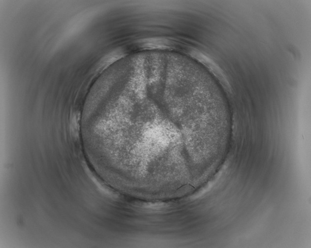 X0000113311233200910131101