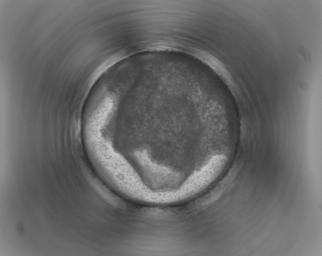 X0000113311234200910131101