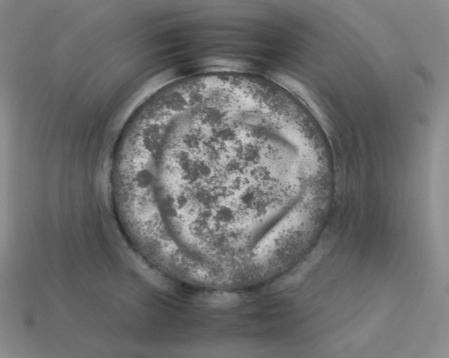 X0000113311235200910131101