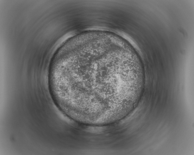 X0000113311237200910131101