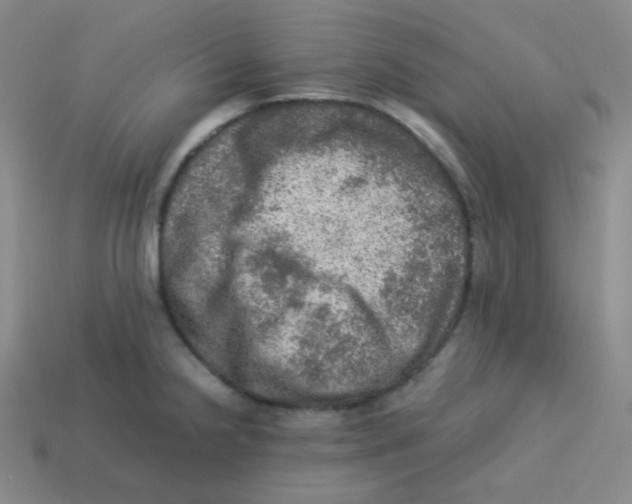 X0000113311238200910131101