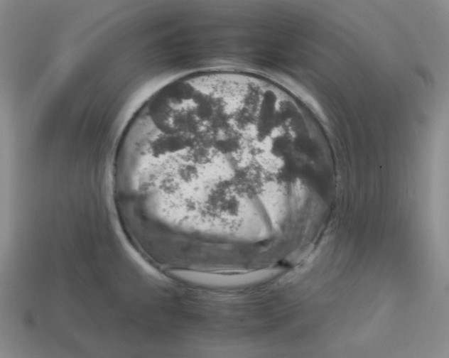 X0000113311239200910131101