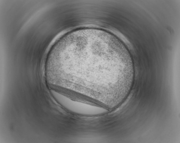 X0000113311240200910131101