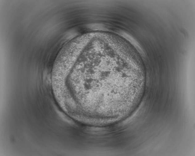 X0000113311241200910131101