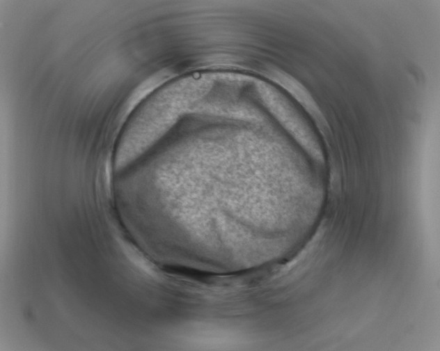 X0000113311242200910131101