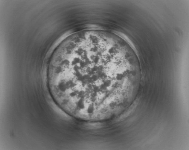 X0000113311243200910131101