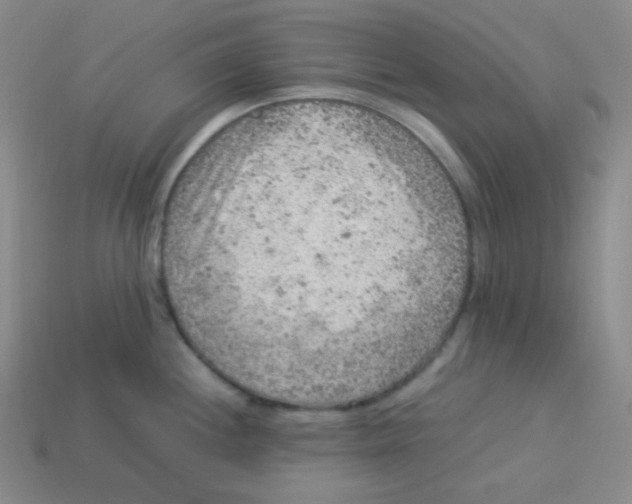 X0000113311244200910131101