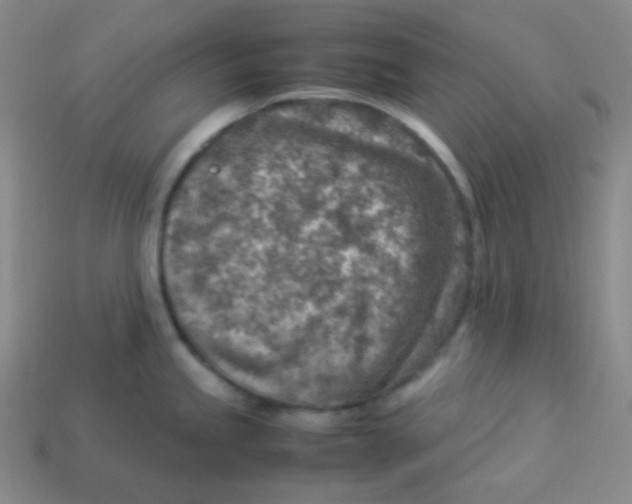 X0000113311245200910131101