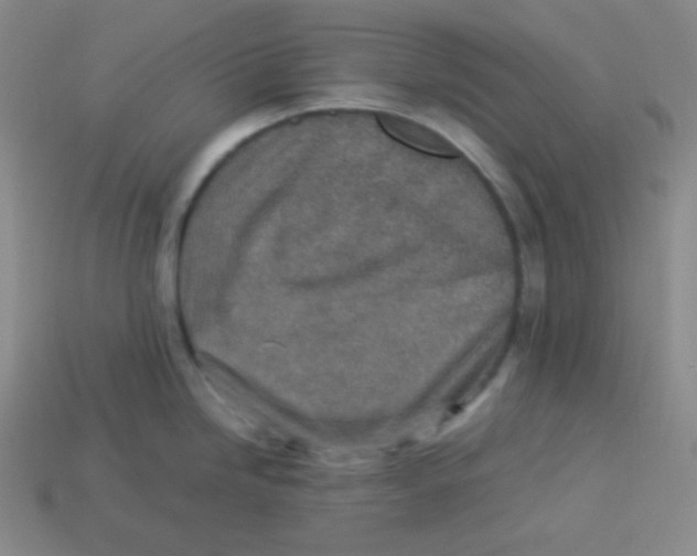 X0000113311246200910131101