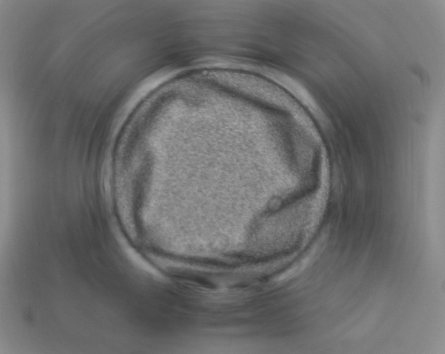 X0000113311247200910131101