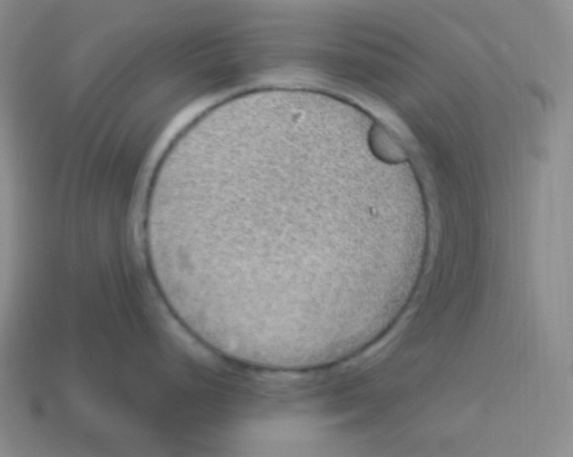 X0000113311248200910131101