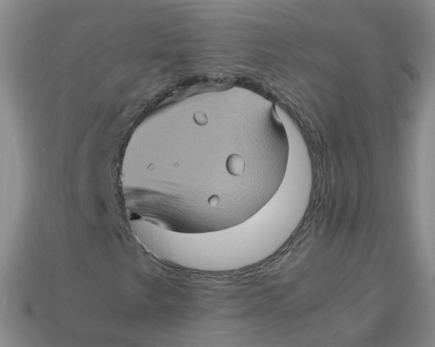 X0000113311249200910131100