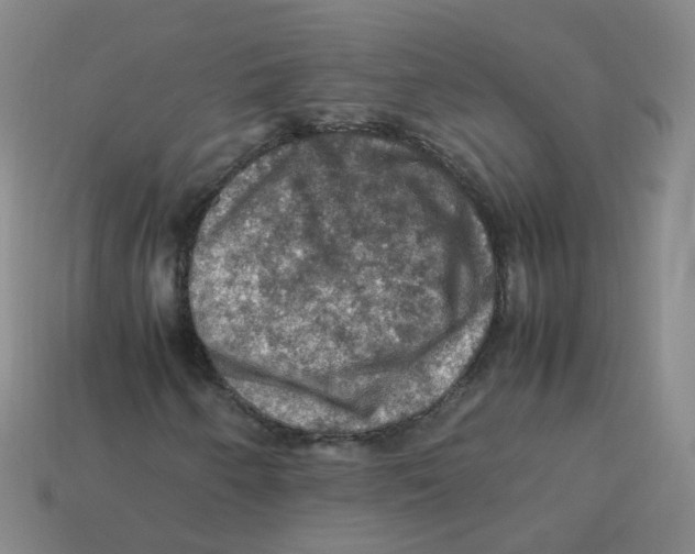 X0000113311250200910131100