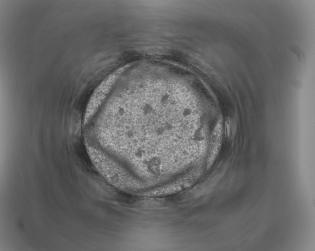 X0000113311251200910131100