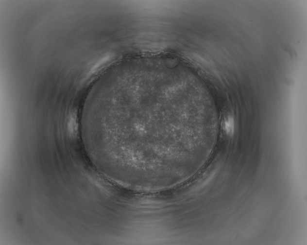 X0000113311252200910131100